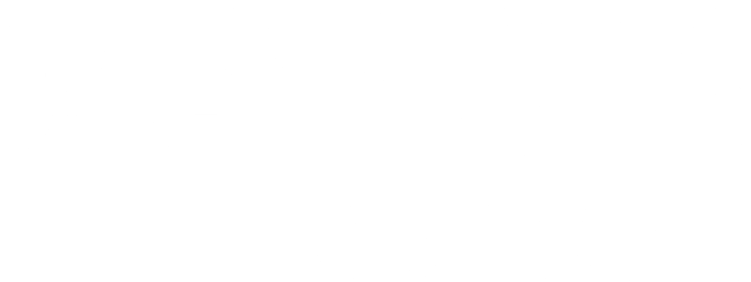 Logo-FPBoisConseil-BLANC